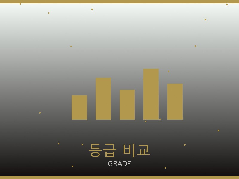 론진 레플리카 사이트 등급 기준 비교